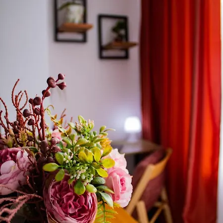 Apartament Aleea Minerva Braşov Esterno foto