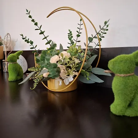 Apartament Aleea Minerva Braşov Esterno foto